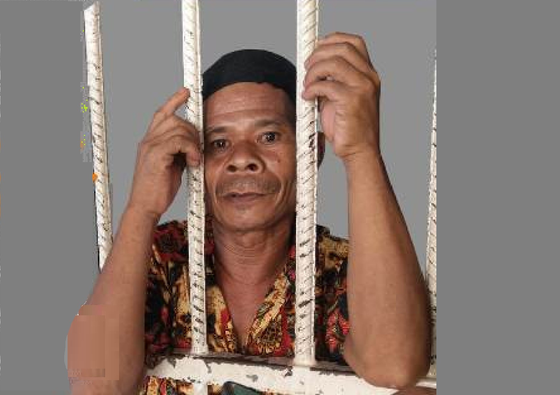 Amicus Curiae Kasus Bongku