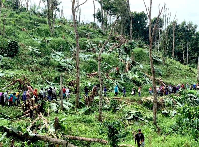 Lagi, Petani Pakel Dikeroyok oleh Suruhan PT Bumi Sari Maju Sukses